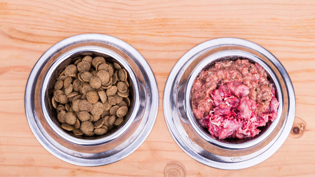 Enticing Pet Palates: Single vs. Multi-Cuisine Menus