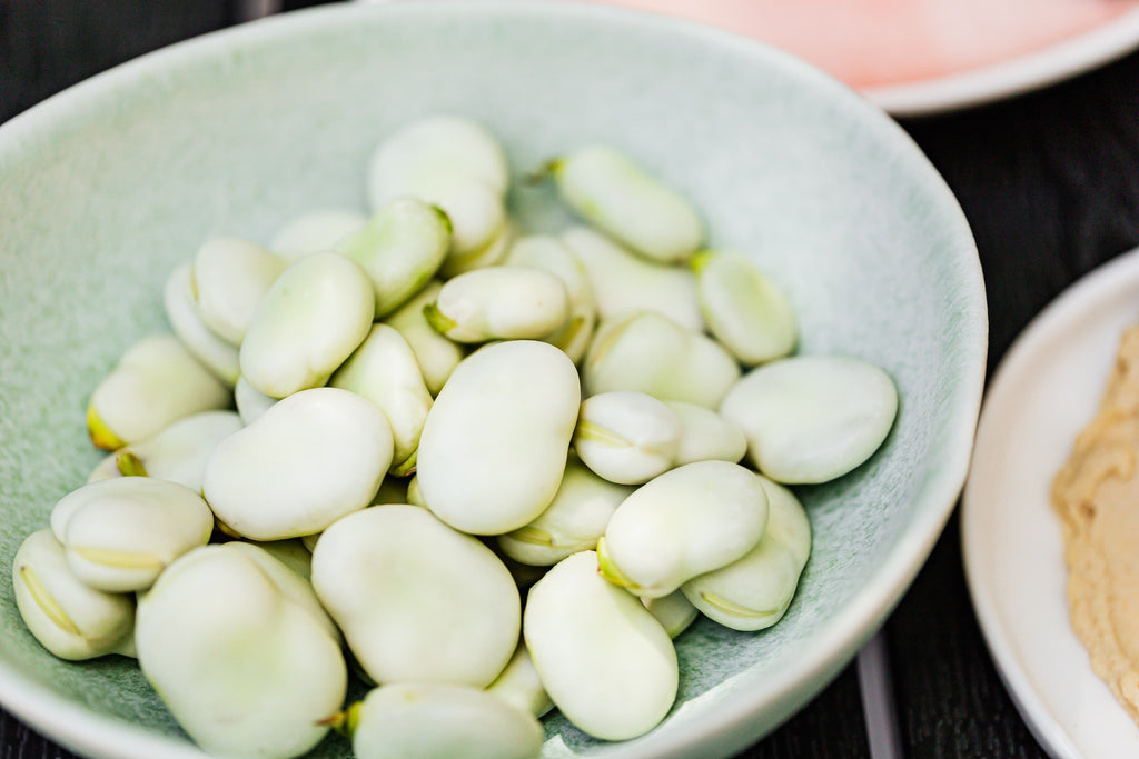 Fava beans for pets: myths, debunked