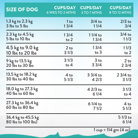 Salmon Bleu Puppy Dry Dog Food 1.8kg, 9kg