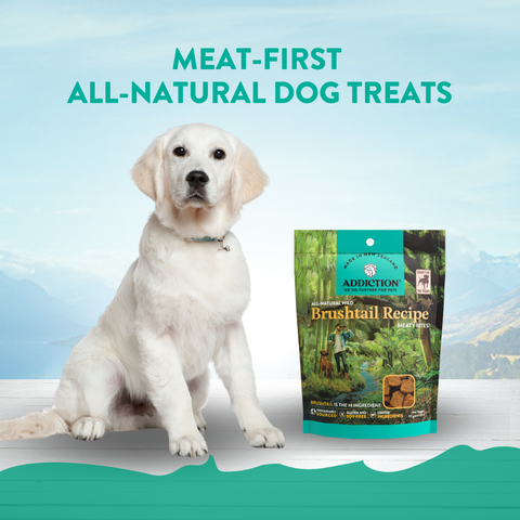 Brushtail Meaty Bites - Hypoallergenic Dog Treats 113g