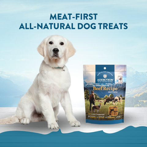 Beef Meaty Bites - Hypoallergenic Dog Treats 113g