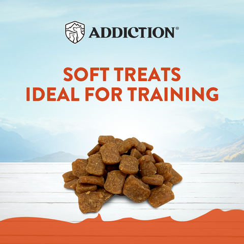 Venison Meaty Bites - Hypoallergenic Dog Treats 113g