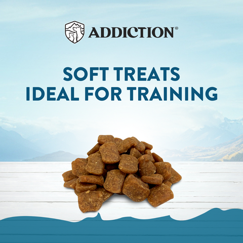 Beef Meaty Bites - Hypoallergenic Dog Treats 113g