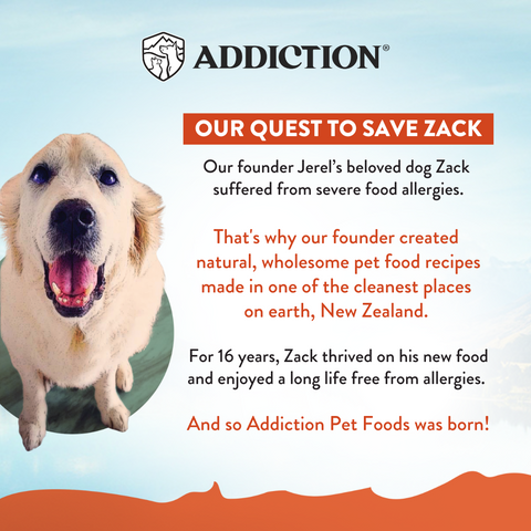 Venison Meaty Bites - Hypoallergenic Dog Treats 113g