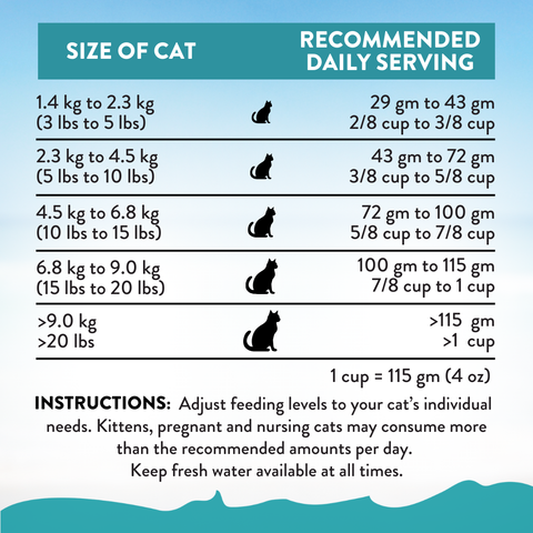 Salmon Bleu Dry Cat Food 1.8kg, 4.5kg
