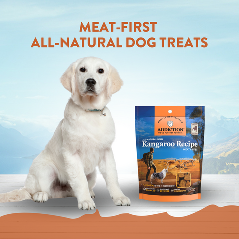 Kangaroo Meaty Bites - Hypoallergenic Dog Treats 113g