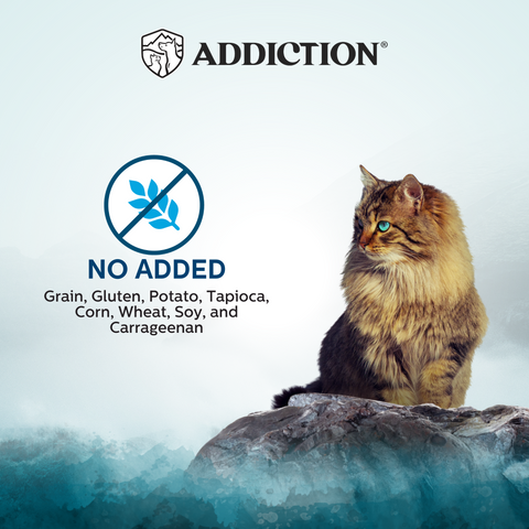 Wild Islands Pacific Catch NZ Fish & Salmon High-Meat Canned Cat Food 185g