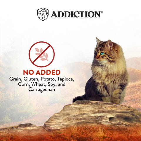 Wild Islands Forest Meat Premium Venison and Beef Canned Cat Food 185g