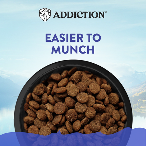 Duck Royale Entrée (for Small Dogs) 1.5kg