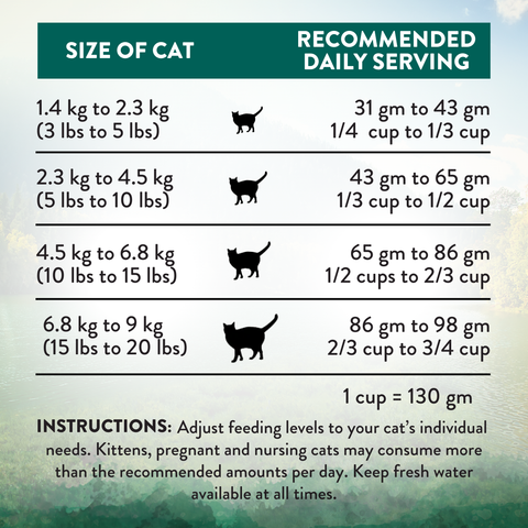 Wild Islands Bird NZ Duck, Turkey & Chicken Dry Cat Food 1.8kg, 4.5kg