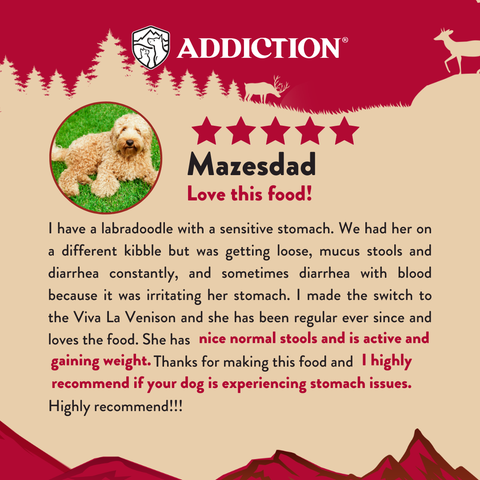Homestyle Venison & Cranberry Air-Dried Dog Food 910g
