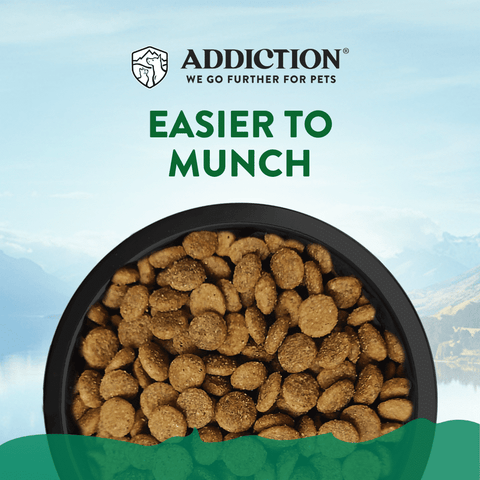 Le Lamb (for Small Dogs) 1.5kg